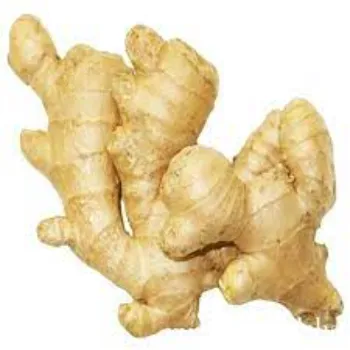 Ginger (13)-4143678-20594.webp